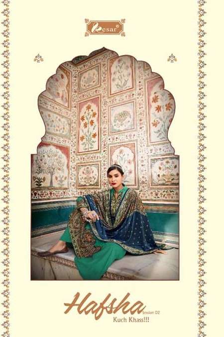 HAFSA SESSION-2 PASHMINA